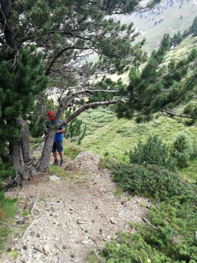 Pyrenees Catalanes Tres Joli Appartement 300M Telecabines Font-Romeu-Odeillo-Via Extérieur photo