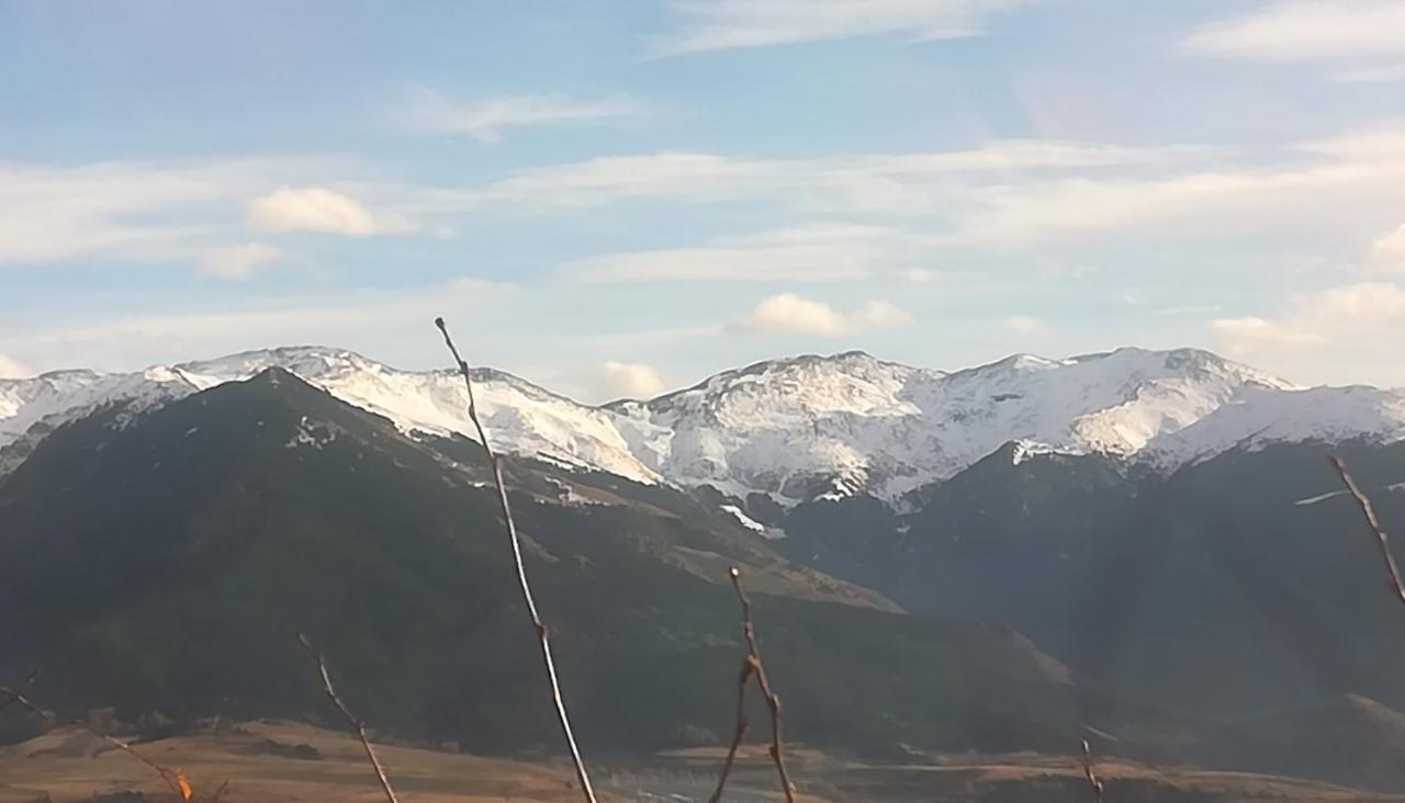 Pyrenees Catalanes Tres Joli Appartement 300M Telecabines Font-Romeu-Odeillo-Via Extérieur photo