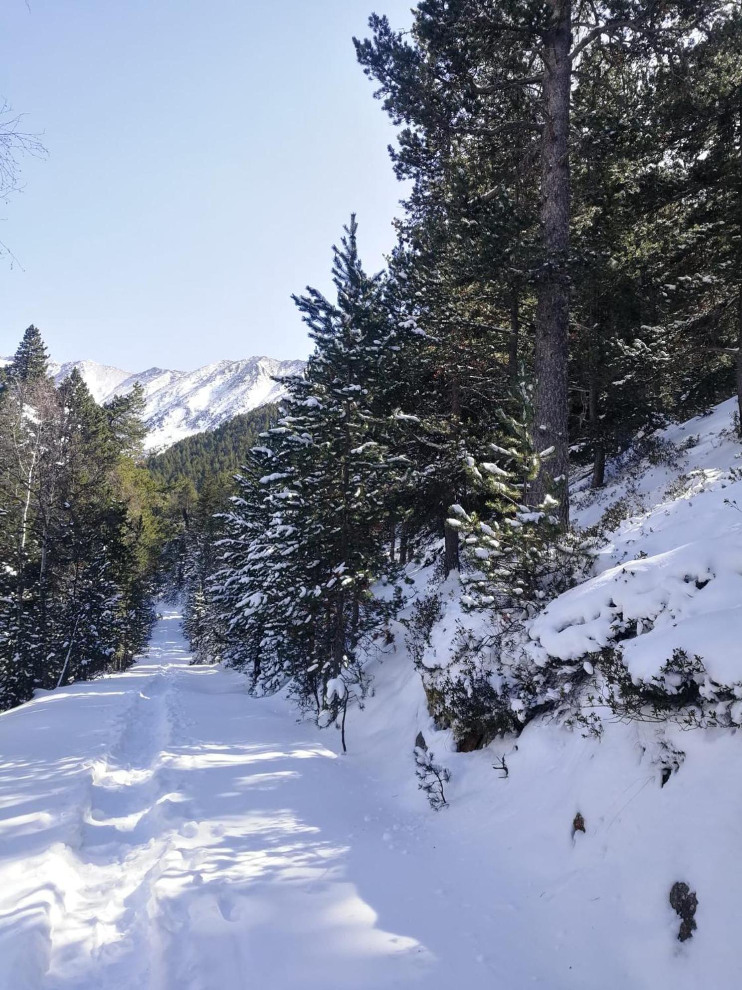 Pyrenees Catalanes Tres Joli Appartement 300M Telecabines Font-Romeu-Odeillo-Via Extérieur photo