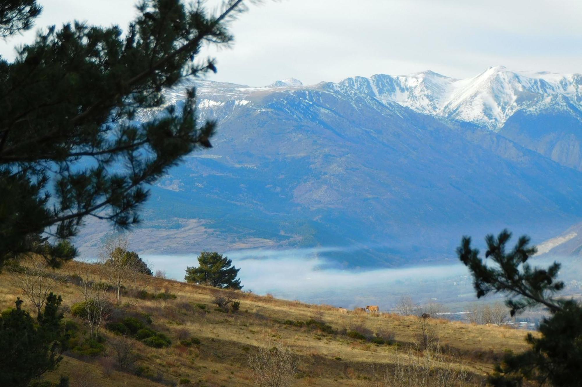 Pyrenees Catalanes Tres Joli Appartement 300M Telecabines Font-Romeu-Odeillo-Via Extérieur photo