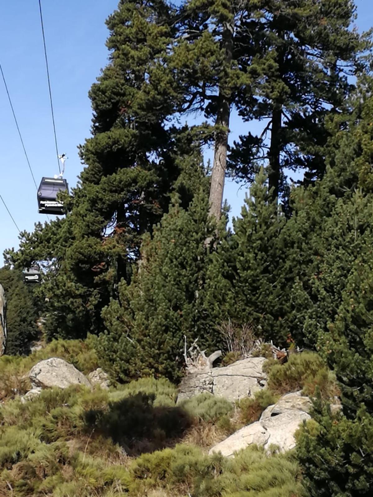 Pyrenees Catalanes Tres Joli Appartement 300M Telecabines Font-Romeu-Odeillo-Via Extérieur photo