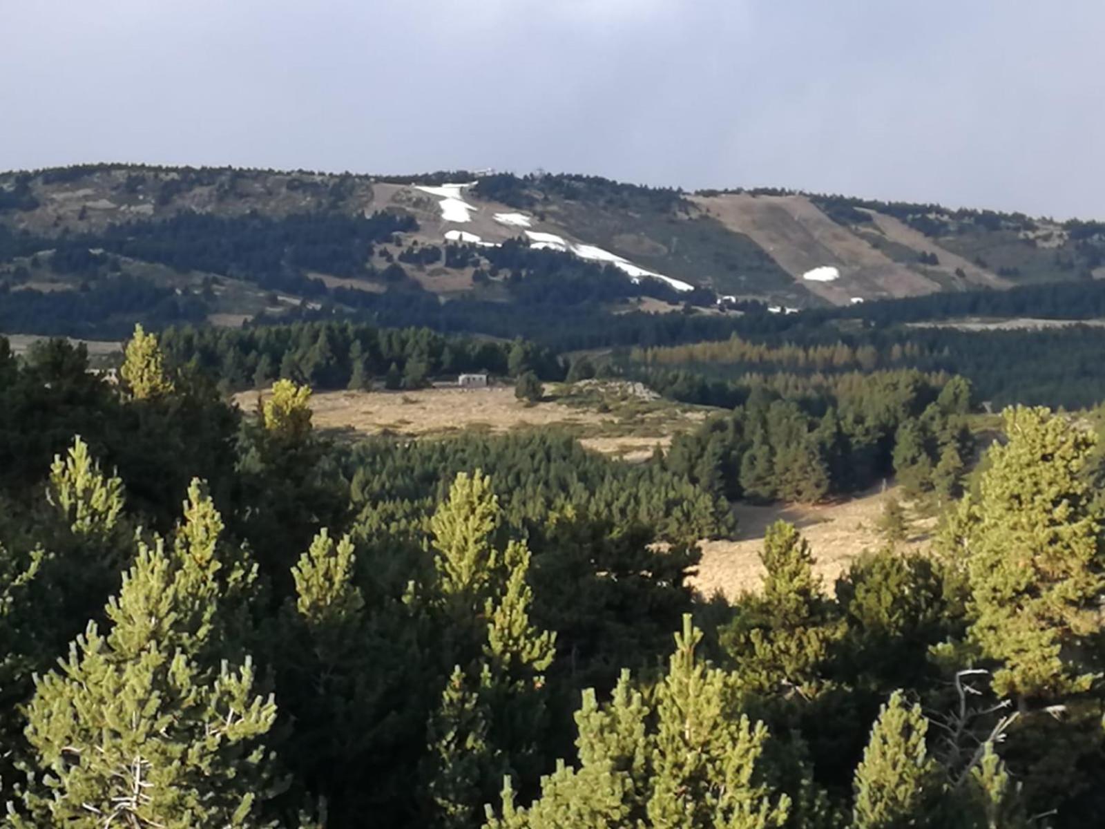 Pyrenees Catalanes Tres Joli Appartement 300M Telecabines Font-Romeu-Odeillo-Via Extérieur photo