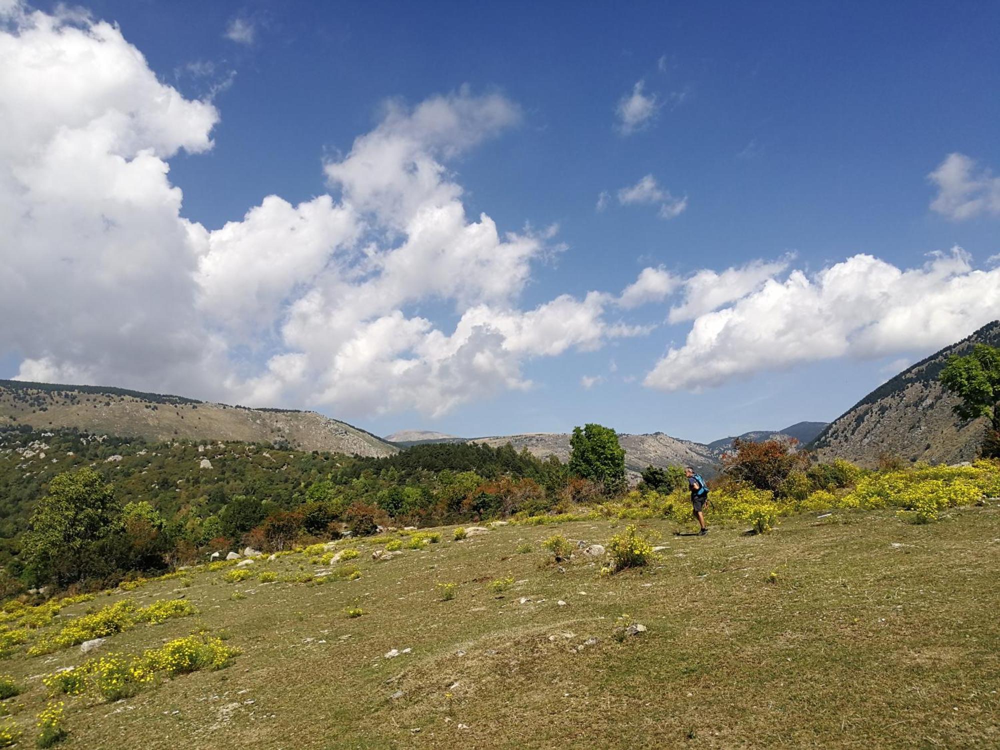 Pyrenees Catalanes Tres Joli Appartement 300M Telecabines Font-Romeu-Odeillo-Via Extérieur photo